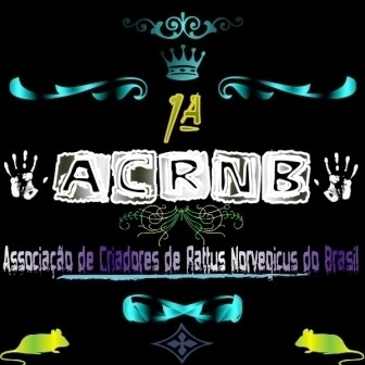 Comunidade Oficial do Site  no Orkut